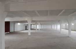 Hală industriala pretabila pentru productie si depozitare, 800 mp, Dumbravita