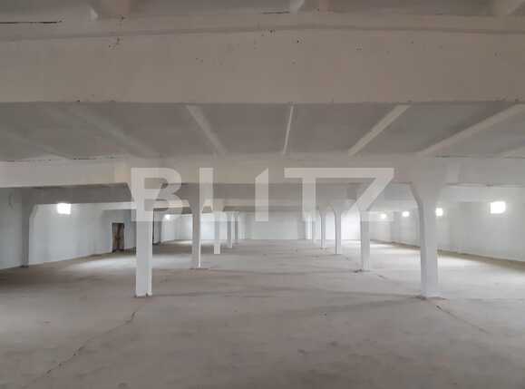 Spațiu industrial de închiriat Dumbravita - 73443SII | BLITZ Timișoara | Poza1