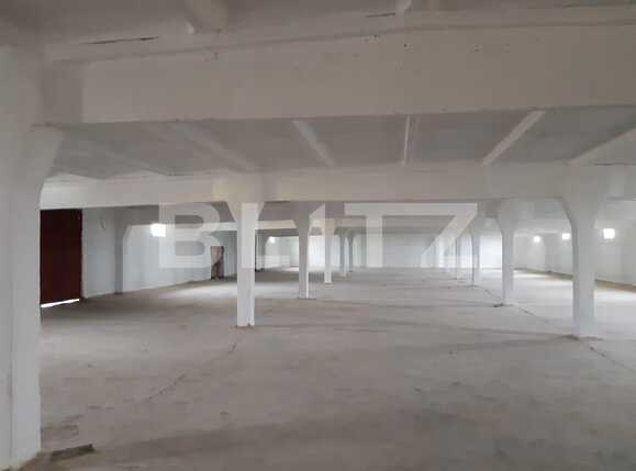 Spațiu industrial de închiriat Dumbravita - 73443SII | BLITZ Timișoara | Poza2