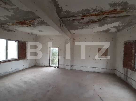 Spațiu industrial de închiriat Dumbravita - 73443SII | BLITZ Timișoara | Poza3
