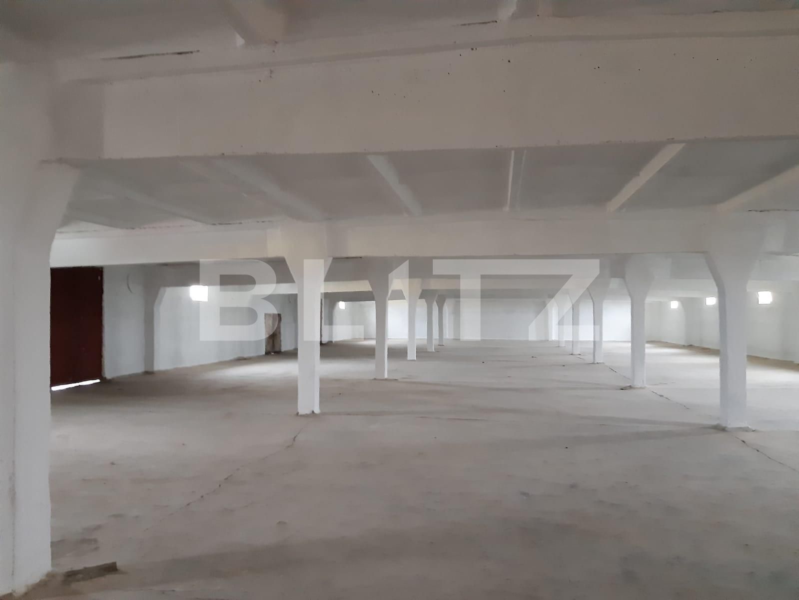Spațiu industrial de închiriat Dumbravita - 73443SII | BLITZ Timișoara | Poza2