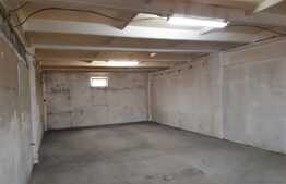 Hală industriala pretabila pentru productie si depozitare, 350 mp, Dumbravita