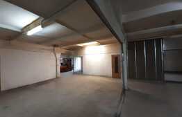 Hală industriala pretabila pentru productie si depozitare, 350 mp, Dumbravita