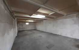 Hală industriala pretabila pentru productie si depozitare, 350 mp, Dumbravita