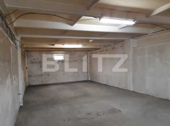 Spațiu industrial de închiriat Dumbravita - 73450SII | BLITZ Timișoara | Poza4