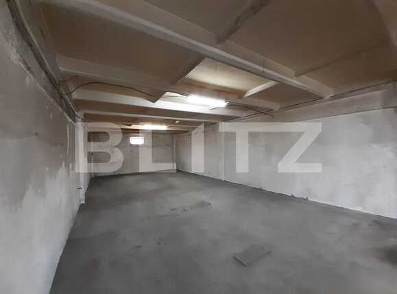 Spațiu industrial de închiriat Dumbravita - 73450SII | BLITZ Timișoara | Poza1