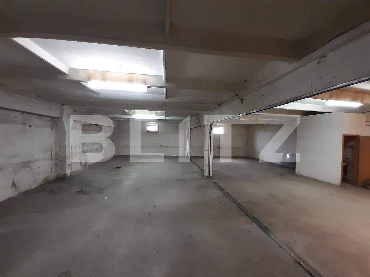 Spațiu industrial de închiriat Dumbravita - 73450SII | BLITZ Timișoara | Poza2