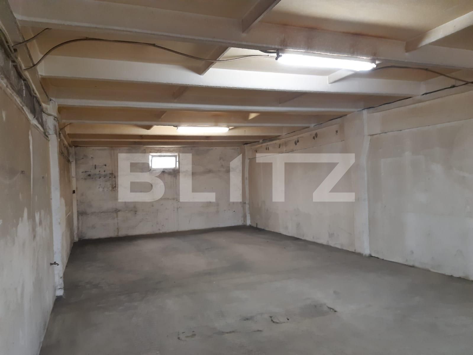 Spațiu industrial de închiriat Dumbravita - 73450SII | BLITZ Timișoara | Poza4