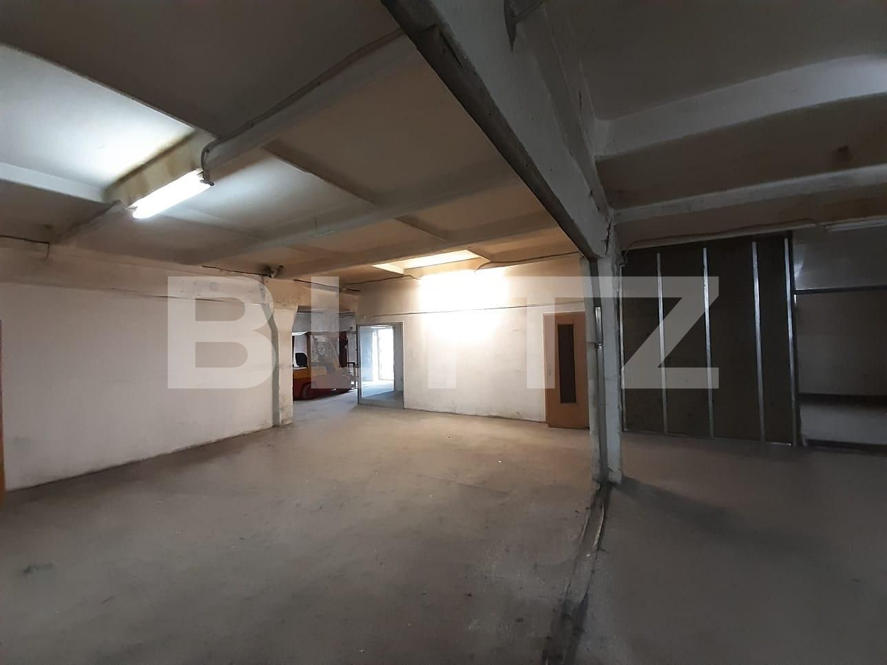 Spațiu industrial de închiriat Dumbravita - 73450SII | BLITZ Timișoara | Poza3