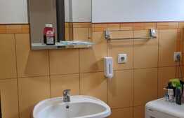 Casa tip duplex, 85 mp utili, 220 mp teren, Dumbravita zona Lac