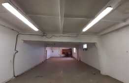 Hală industriala pretabila pentru productie si depozitare, 200 mp, Dumbravita