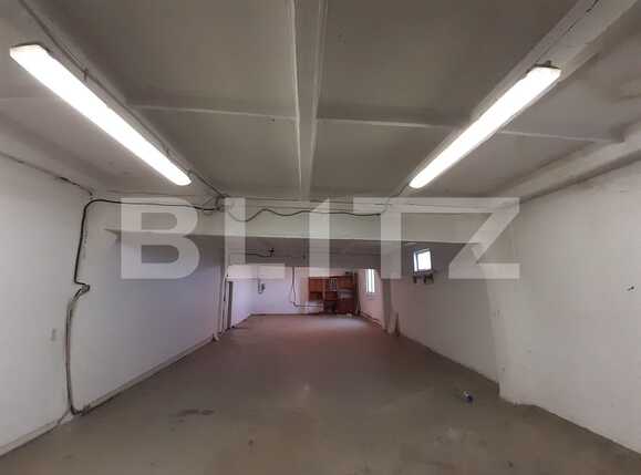 Spațiu industrial de închiriat Dumbravita - 73456SII | BLITZ Timișoara | Poza1