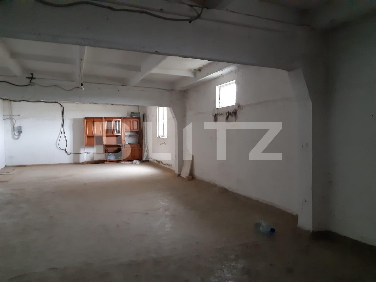 Spațiu industrial de închiriat Dumbravita - 73456SII | BLITZ Timișoara | Poza3