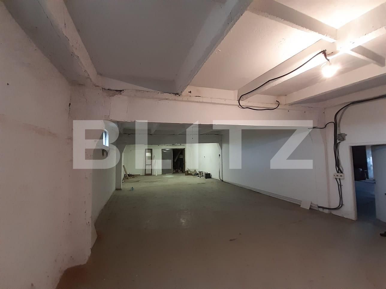 Spațiu industrial de închiriat Dumbravita - 73456SII | BLITZ Timișoara | Poza2