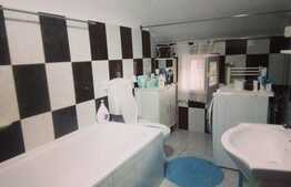 Apartament 2 camere, complet mobilat, zona Torontalului