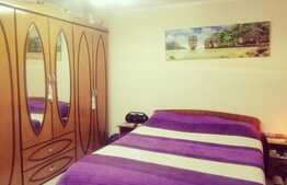 Apartament 2 camere, complet mobilat, zona Torontalului