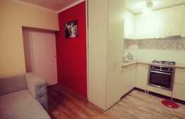 Apartament 3 camere, parter, zona Cetatii