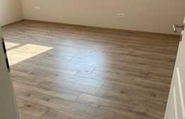 Casa tip duplex, 95 mp utili, mobilat, Remetea Mare!