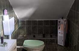 Casa de vanzare, 408 mp utili, pretabil spatiu comercial/locuinta, Zona Iosefin