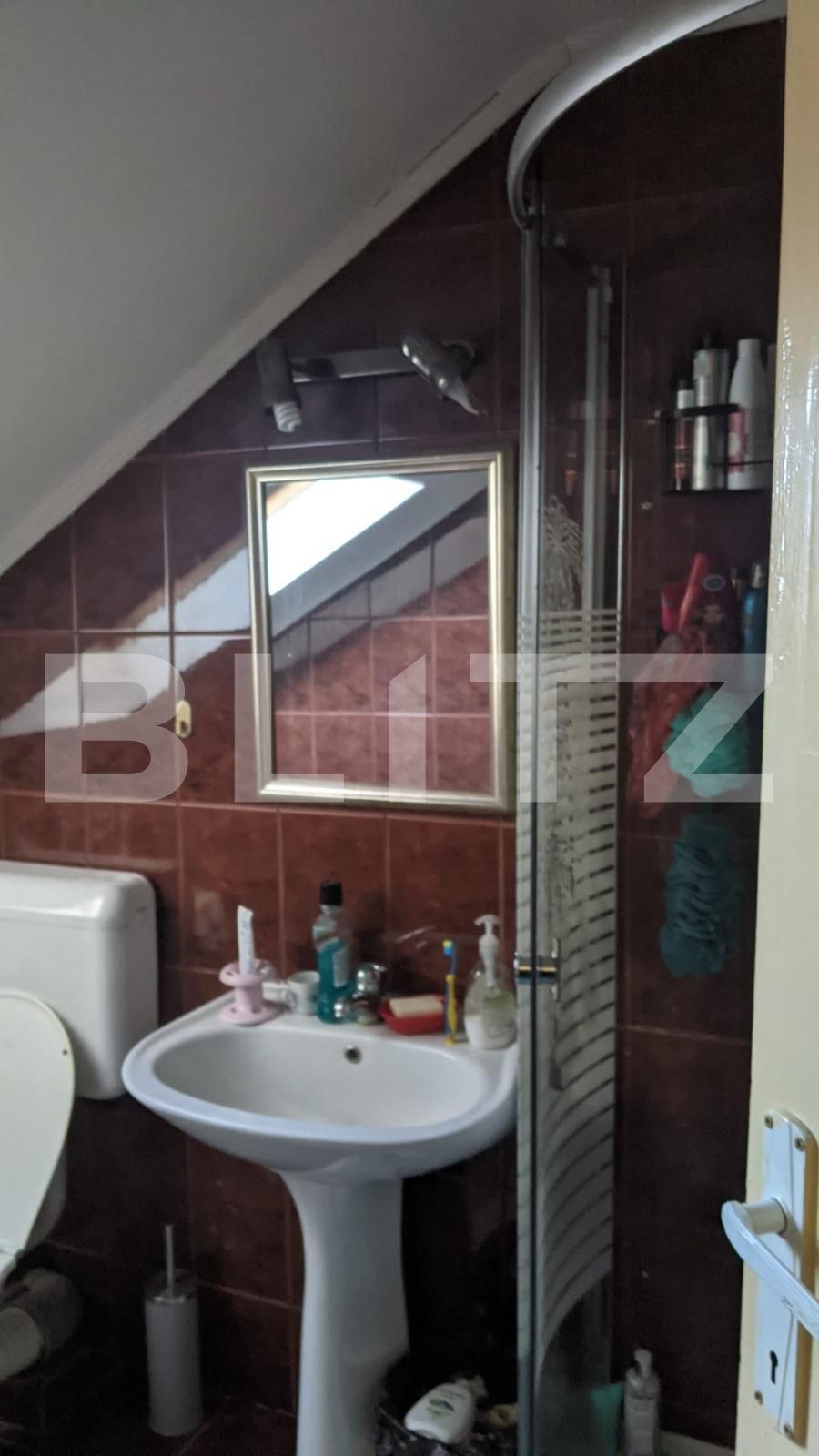 Casa de vânzare 13 camere Iosefin - 73515CV | BLITZ Timișoara | Poza6