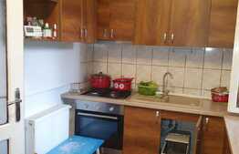 Casă individuală, 67 mp utili, teren 500 mp, în zona Lipovei