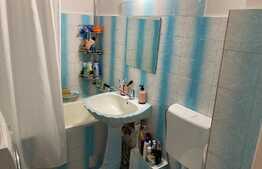 Apartament 2 camere, 55 mp, zona Girocului 