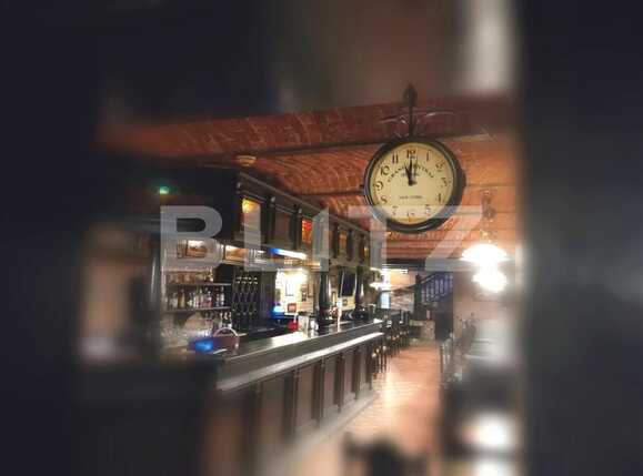 Spațiu comercial de închiriat Central - 73650SIC | BLITZ Timișoara | Poza4