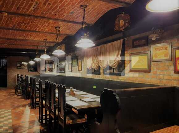 Spațiu comercial de închiriat Central - 73650SIC | BLITZ Timișoara | Poza1