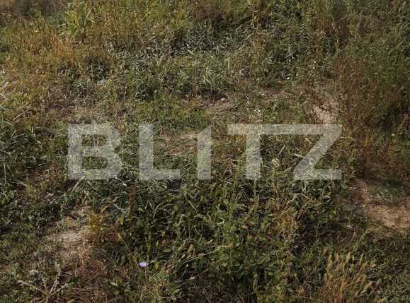 Teren de vânzare Buziasului - 73681TV | BLITZ Timișoara | Poza2