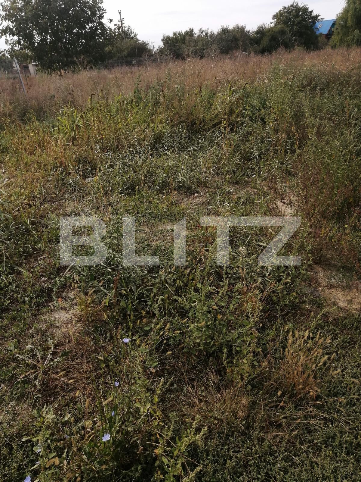 Teren de vânzare Mosnita Noua - 73682TV | BLITZ Timișoara | Poza1