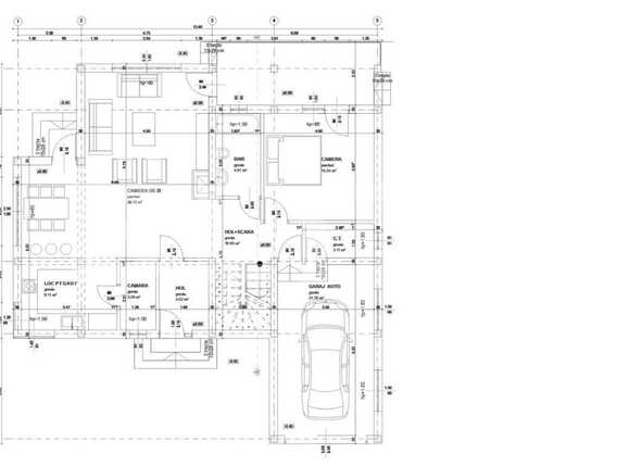 Casa de vânzare 3 camere Torontalului - 73694CV | BLITZ Timișoara | Poza10