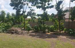 Casa individuala, 160 mp, teren 2042 mp, Giarmata!