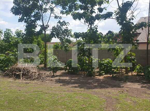 Casa de vânzare 4 camere  - 73840CV | BLITZ Timișoara | Poza1