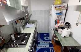 Apartament la casa, cu o suprafata de 50 mp, curte comuna, zona Traian