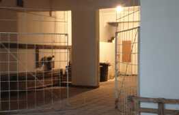 Depozit plus apartament, zona Steaua!