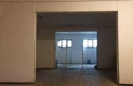 Depozit plus apartament, zona Steaua!