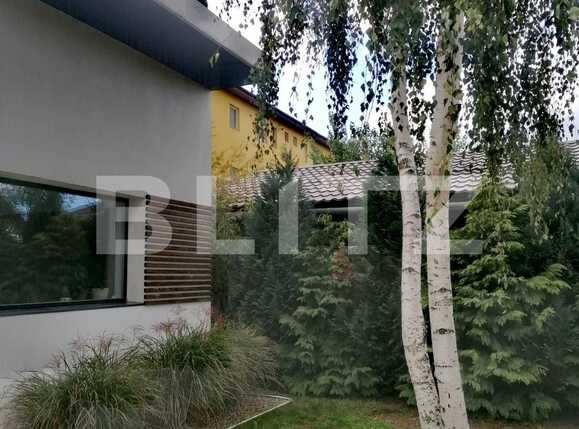 Casa de vânzare 6 camere Blascovici - 73945CV | BLITZ Timișoara | Poza10