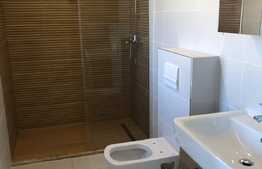 Duplex 120 mp utili, teren 310 mp, Dumbravita!