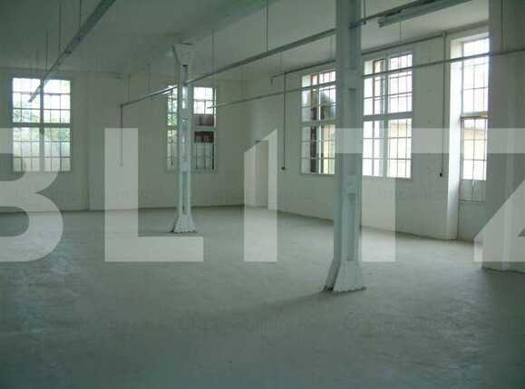 Spațiu industrial de vânzare Ronat - 74045SVI | BLITZ Timișoara | Poza2