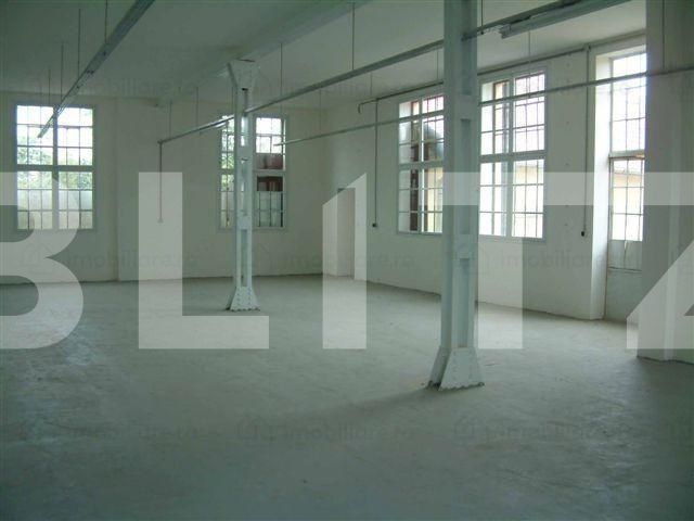 Spațiu industrial de vânzare Ronat - 74045SVI | BLITZ Timișoara | Poza2