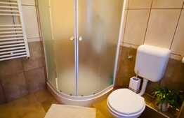 Casa individuala de vanzare, 200 mp utili, teren 600 mp, mobilata si utilata, Dumbravita