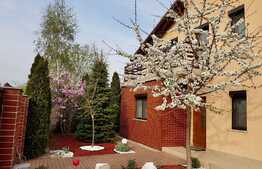 Casa individuala de vanzare, 200 mp utili, teren 600 mp, mobilata si utilata, Dumbravita