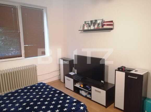 Garsonieră de vânzare Lipovei - 74079AV | BLITZ Timișoara | Poza1