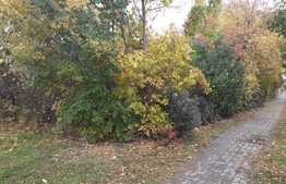 Teren cu suprafaţă de 1532 mp în Elisabetin pe arteră