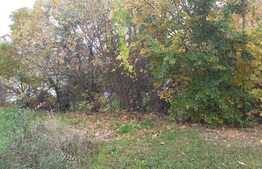 Teren cu suprafaţă de 1532 mp în Elisabetin pe arteră