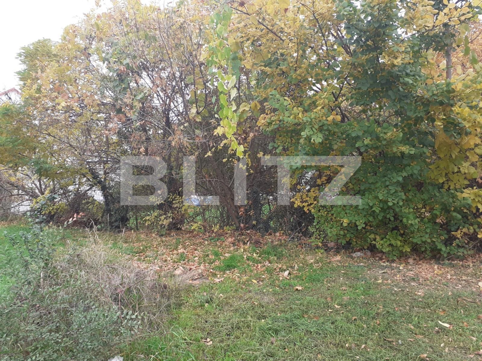 Teren de vânzare Elisabetin - 74128TV | BLITZ Timișoara | Poza2