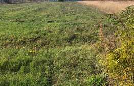 Teren intravilan 3.000 mp, front 26 ml, Giarmata Vii!