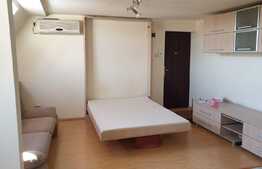 Garsoniera mobilata si utilata, 30 mp, zona Dambovita! Investitie! 