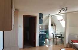 Garsoniera mobilata si utilata, 30 mp, zona Dambovita! Investitie! 