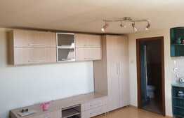 Garsoniera mobilata si utilata, 30 mp, zona Dambovita! Investitie! 